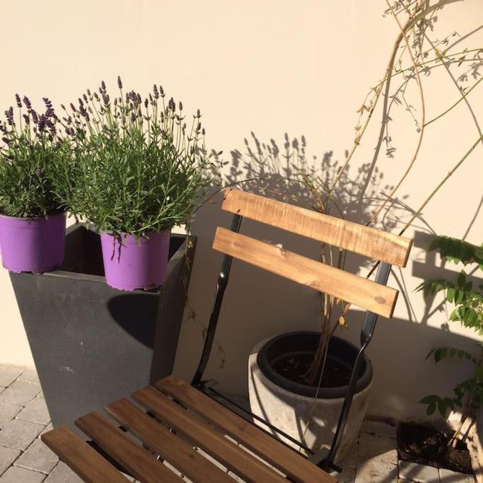 Le Clos De Beauchamp Appartement Le Bord De Mer 2 Velos Sont Disponibles Gratuitement Saint-Valéry-sur-Somme Buitenkant foto